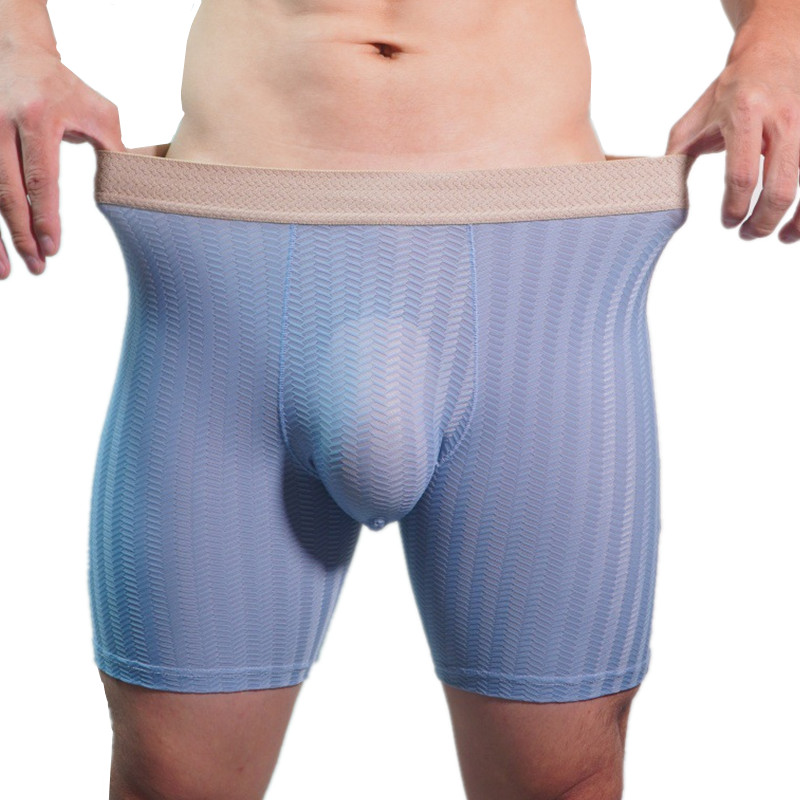 Mens Boxer Shorts Homme Nylon  - Long Leg Trunk Men recensie en prijs