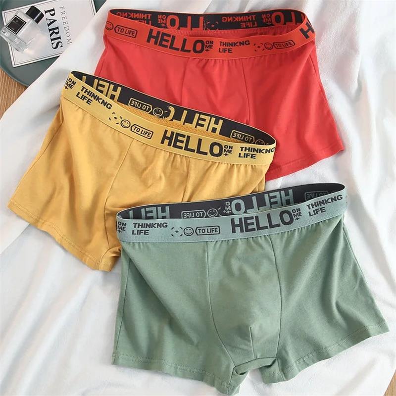 10Pieces/ Men's Underwear Men  - Boxer Shorts Modal recensie en prijs