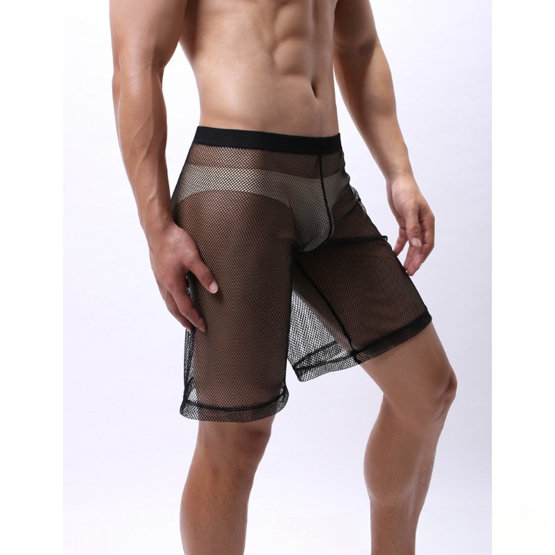 Low Rise Mesh Erotic Underwear - Trunk Breathable Men recensie en prijs