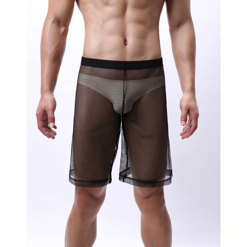 Low Rise Mesh Erotic Underwear - Trunk Breathable Men recensie en prijs
