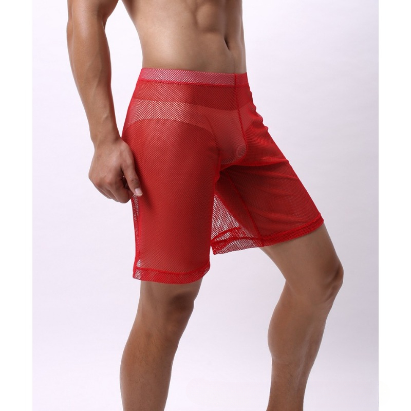 Low Rise Mesh Erotic Underwear - Trunk Breathable Men recensie en prijs