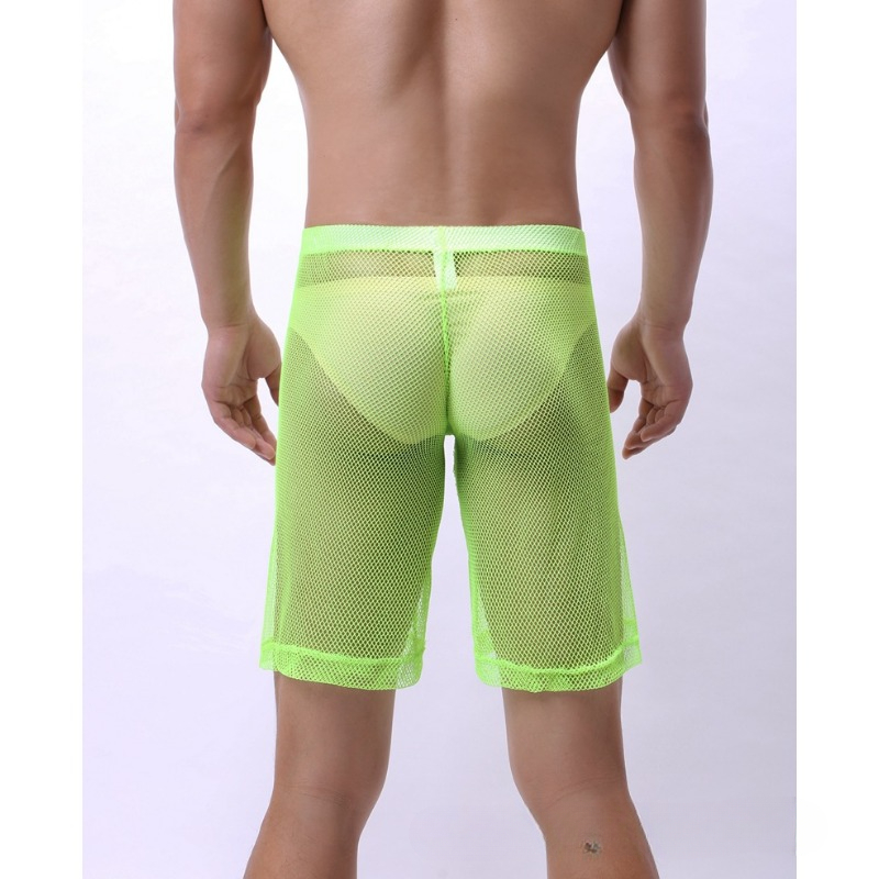 Low Rise Mesh Erotic Underwear - Trunk Breathable Men recensie en prijs