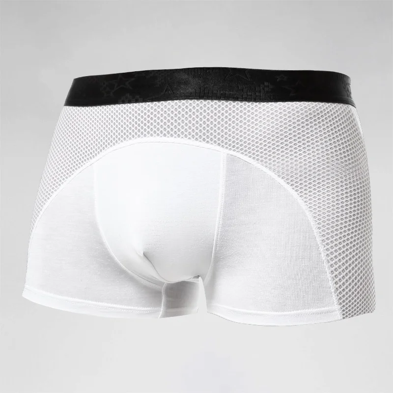 Men's underwear, men's ice sil - Mesh Sport Boxer recensie en prijs